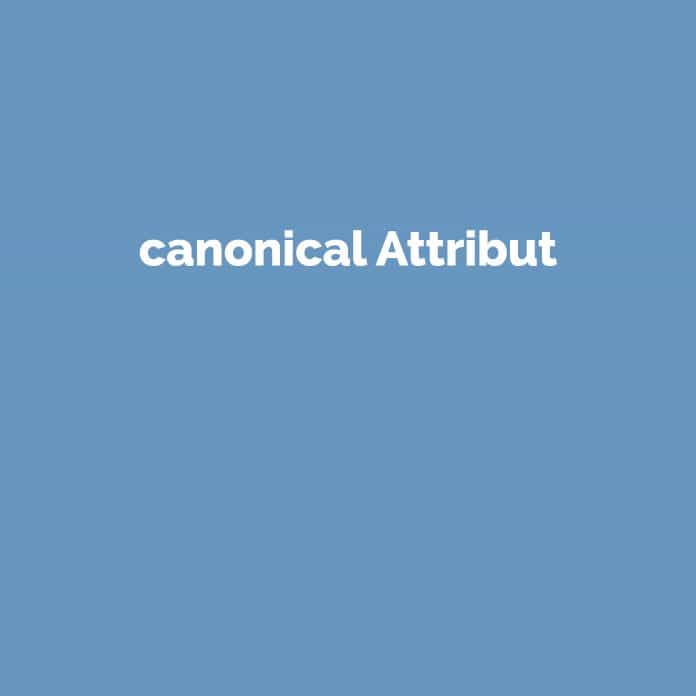 canonical Attribut | Online Marketing Glossar | perfecttraffic.de