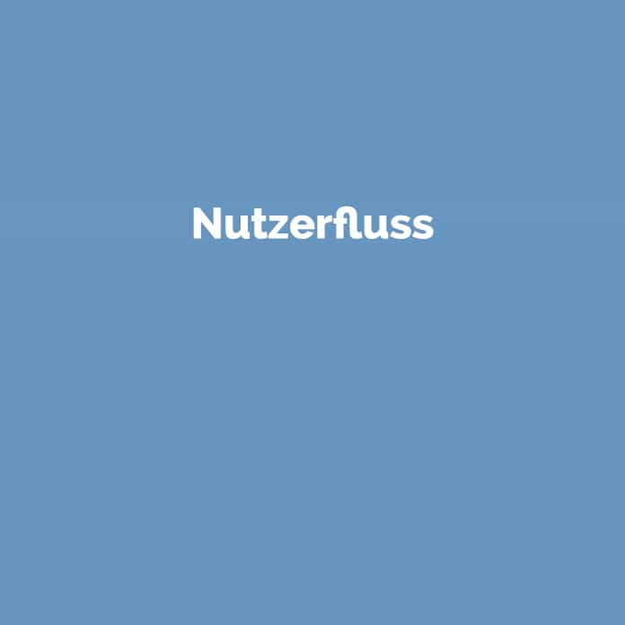 Nutzerfluss | Online Marketing Glossar | perfecttraffic.de