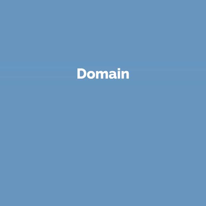 Domain | Online Marketing Glossar | perfecttraffic.de