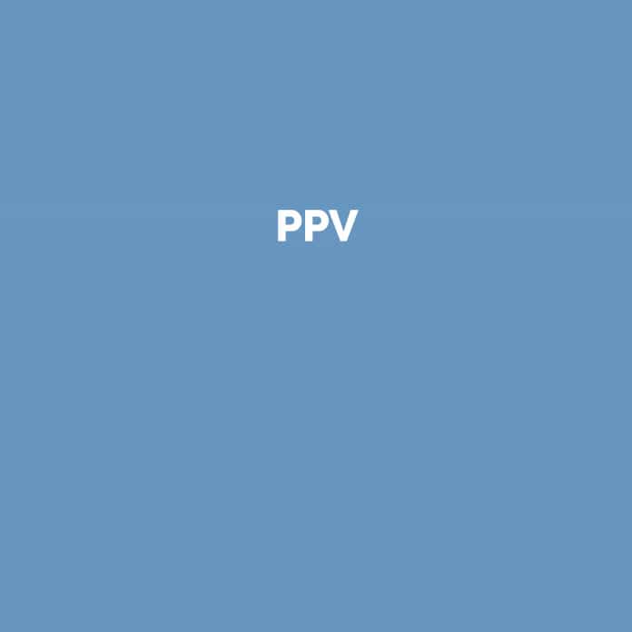 PPV | Online Marketing Glossar | perfecttraffic.de