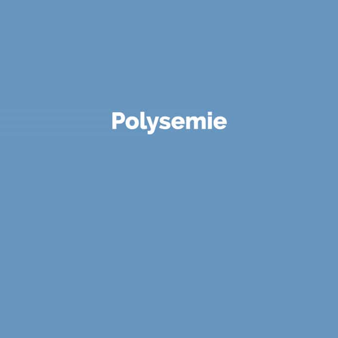 Polysemie | Online Marketing Glossar | perfecttraffic.de
